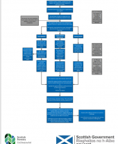 Forestry Appeals Process Guide Chart